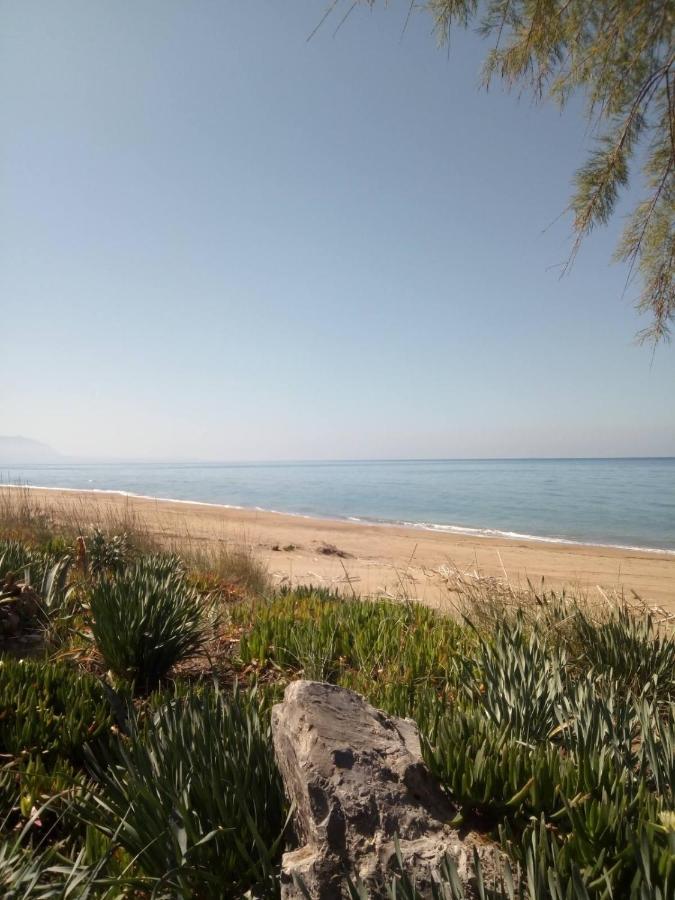 Hotel Διεθνές ซาคาโร ภายนอก รูปภาพ